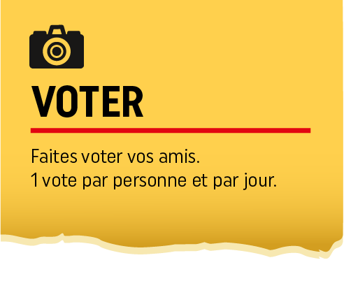 voter