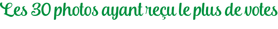title slide4